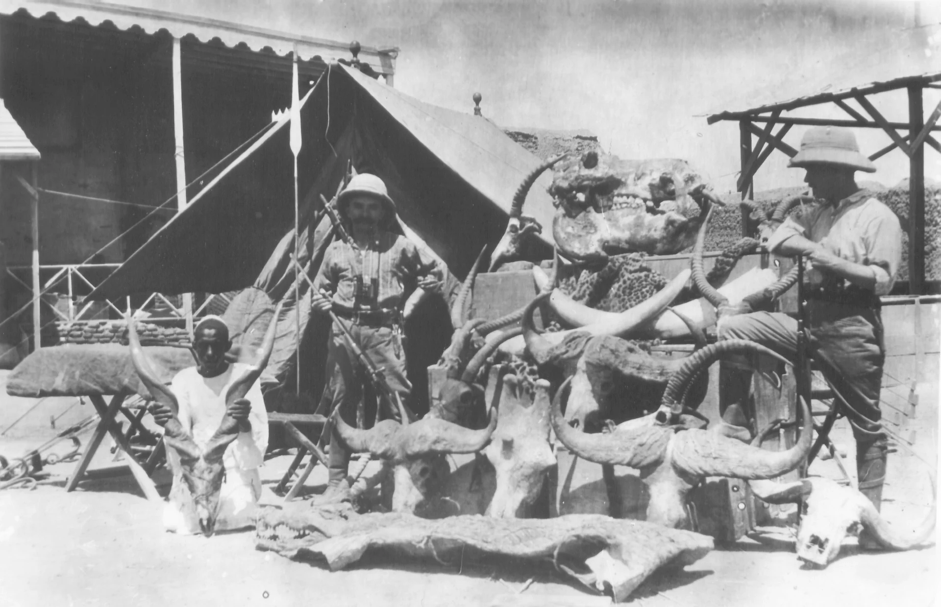 Historical group photograph beside a display of animal skulls, horns and skins in a courtyard.